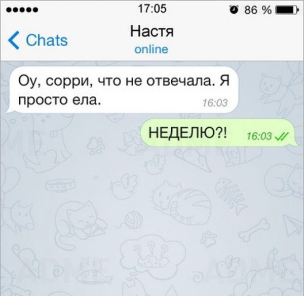 Смешные высказывания про Настю