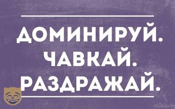 Саркастические надписи