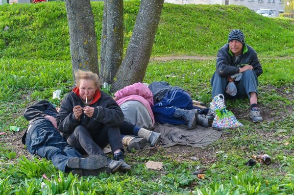 Демотиваторы про алкашей смешные