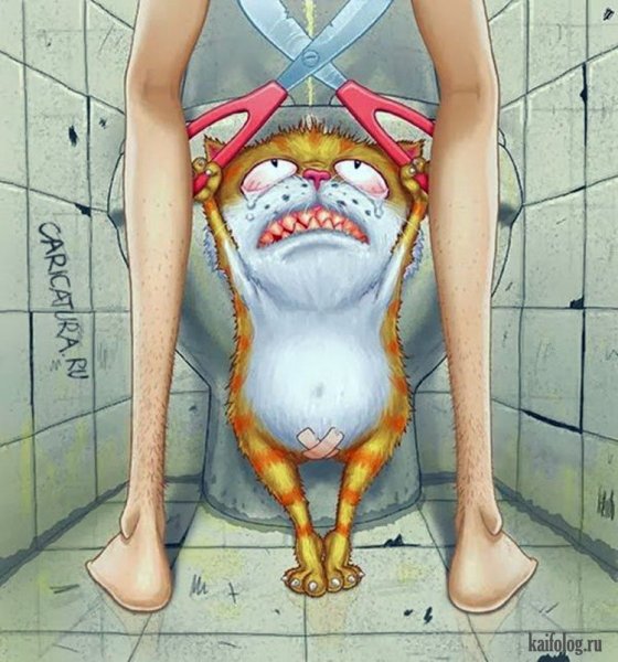 Кастрация кота карикатура
