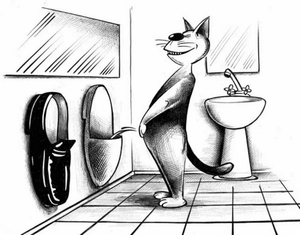 Корсун уоты Сергей коты