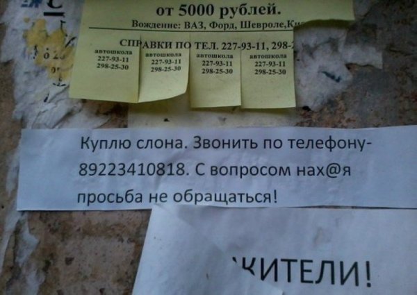 Самые смешные надписи и объявления