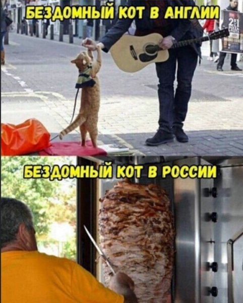 Убойные приколы картинки с надписями