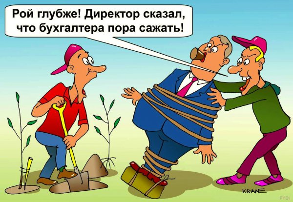 Бухгалтер прикол