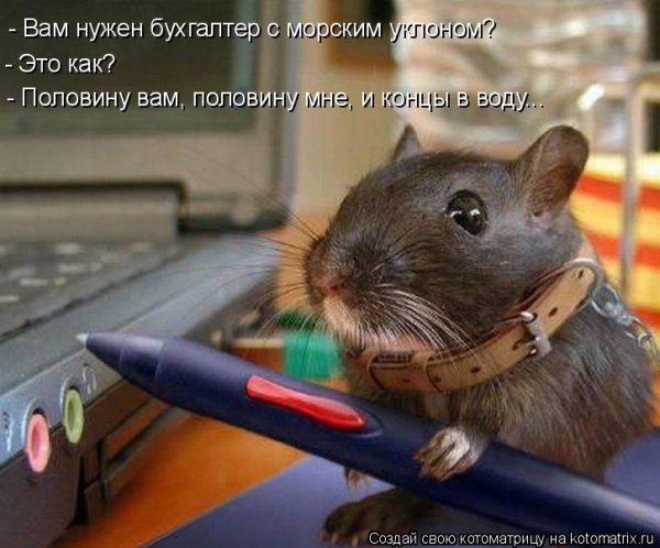 Замученный бухгалтер