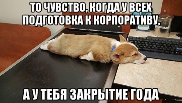 Прикольные надписи про бухгалтерию