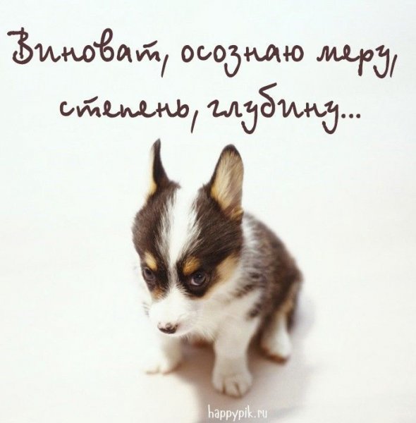 Смешная открытка с извинениями