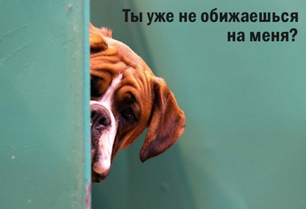Не обижайся на меня