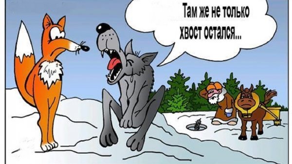 Красный волк скалится