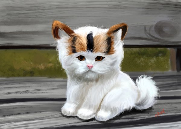 Котята картинки прикольные