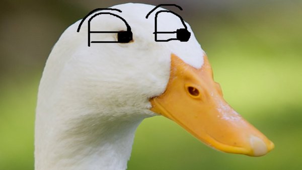 УГАРНЫЙ Гусь