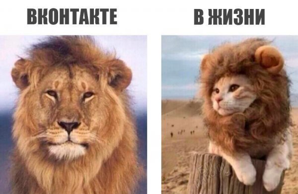 Лев Мем