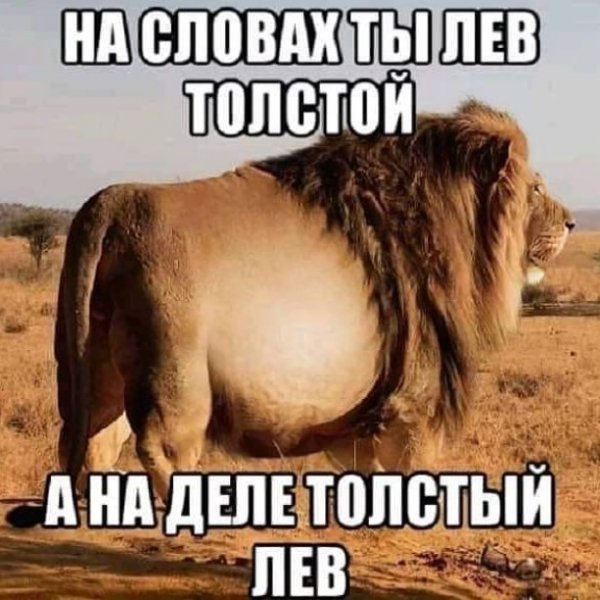 На словах ты Лев толстой