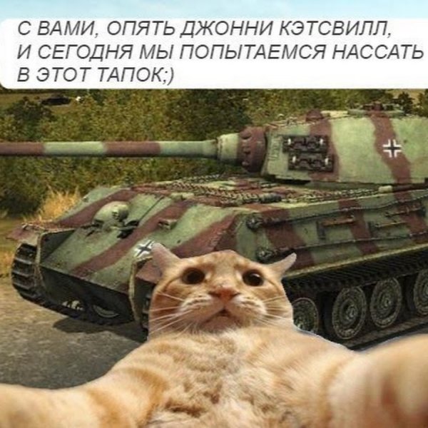 Джонни Кэтсвилл выборы
