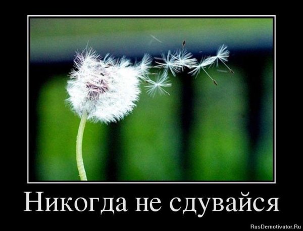 Позитивные мотиваторы прикольные