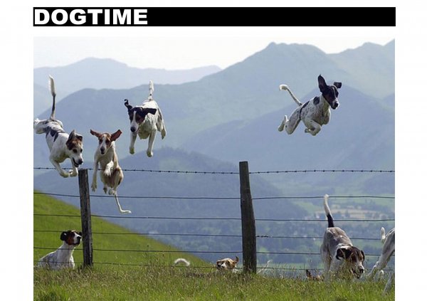 Демотиваторы интересные факты