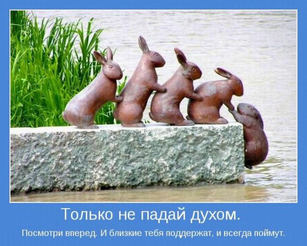 Мотиваторы позитивные смешные