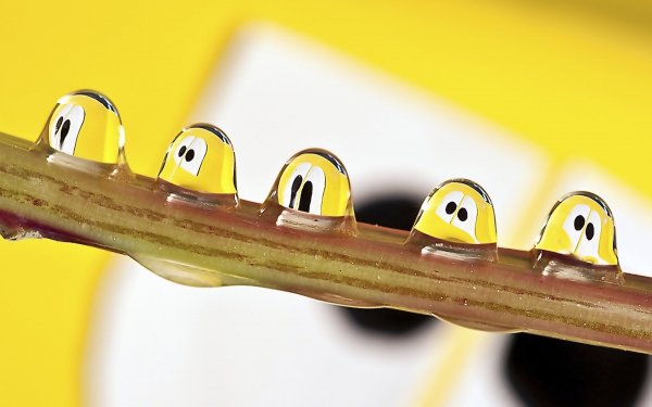 Позитивная картинка мотиватор