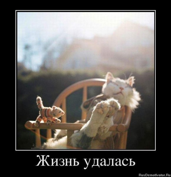 Позитивные демотиваторы