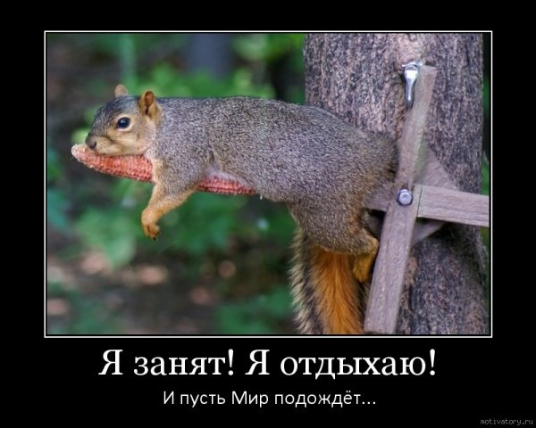 Мотиваторы смешные