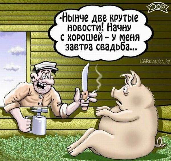 Карикатуры смешные