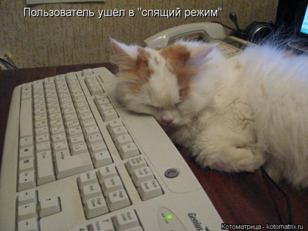 Ушла спать