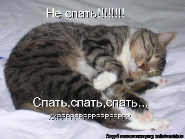 Спящий котик с надписью