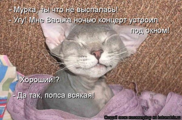 Выспаться картинки смешные