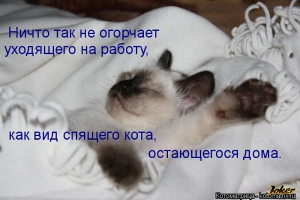 Открытки как спалось