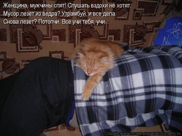 Кот проспал на работу