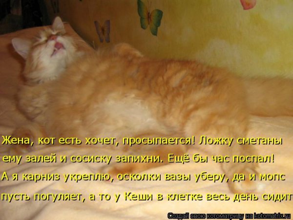 Котик хочет спать