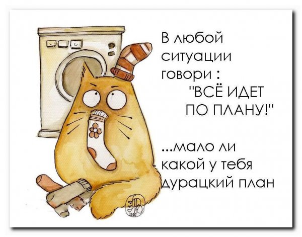 Смешные Мотивирующие цитаты