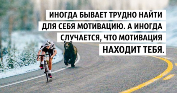 Смешные фразы для мотивации