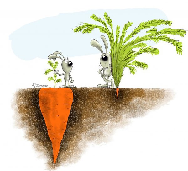 Понты не отображают реального положения вещей