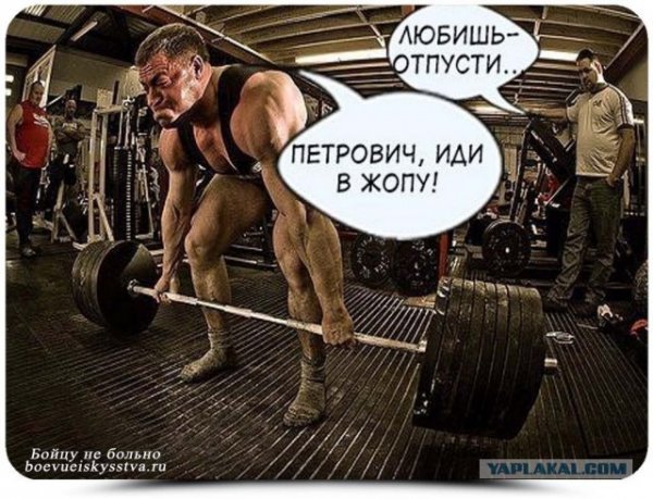 Демотиваторы про тренажерный зал
