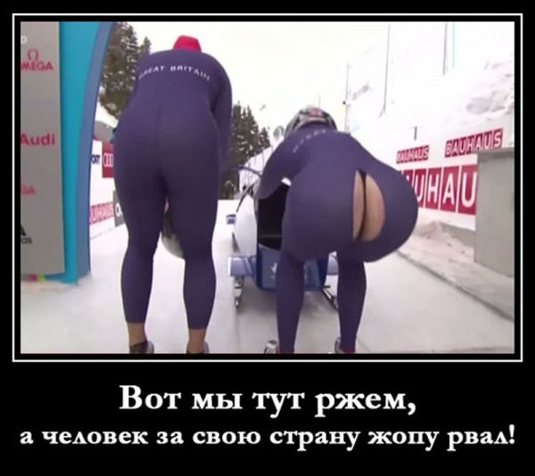 Кобыла смешная