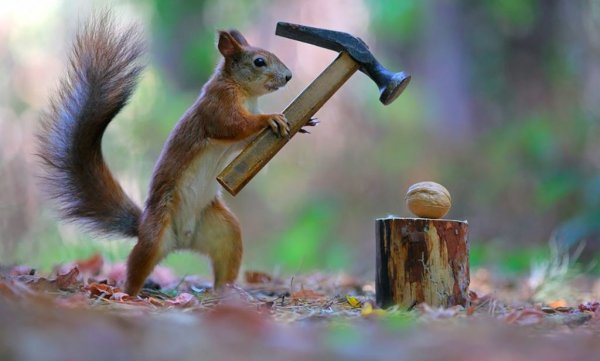 Вадим Трунов фотограф