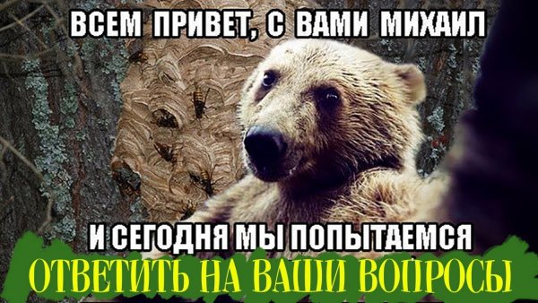 Мемы про Михаила