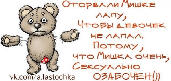 Приколы про Мишу фото