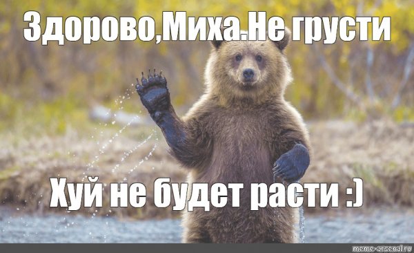 Шутки про Мишу смешные