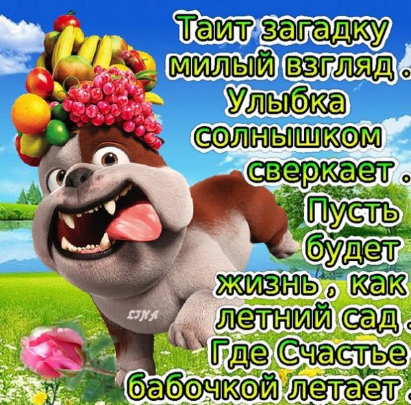 Прикольные пожелания