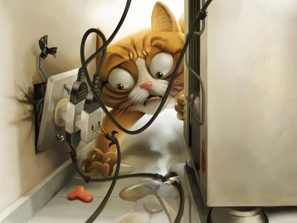 Креативные котики