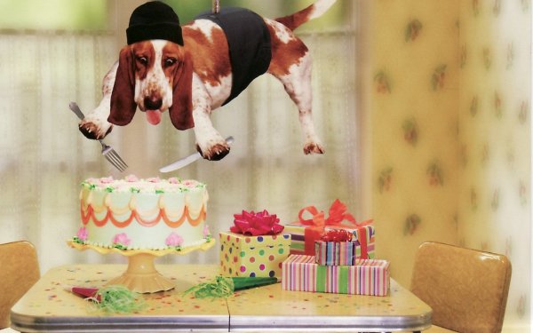 С днем рождения прикольные