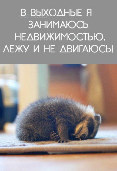 Приколы про выходные