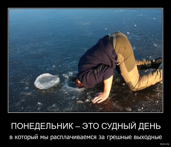 Демотиваторы про выходные