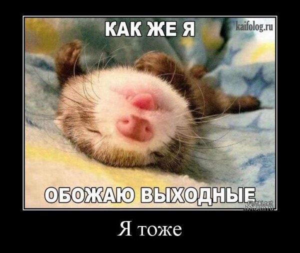 Мотиваторы про выходной