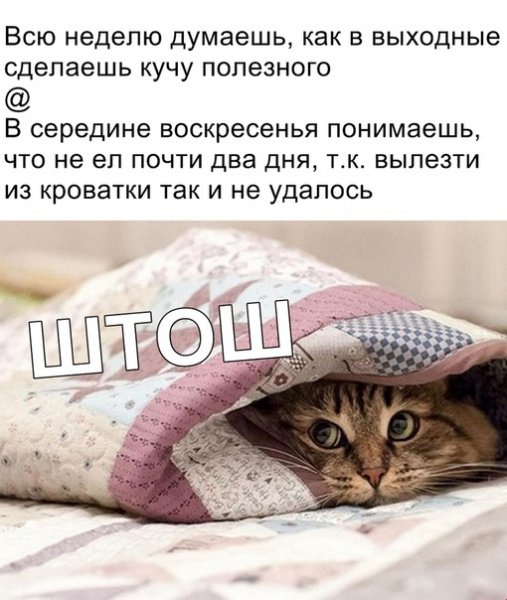 Шутки про выходные