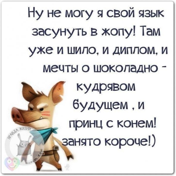 Прикольные высказывания