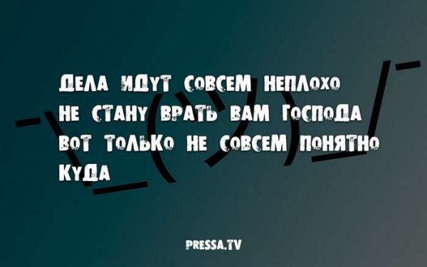 Смешные цитаты