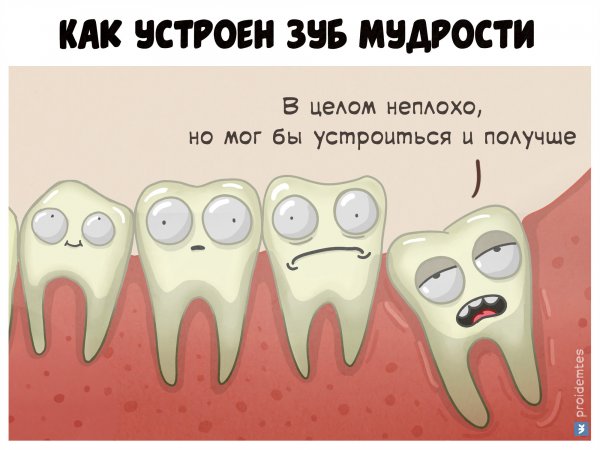 Девчонки снимайте трусы